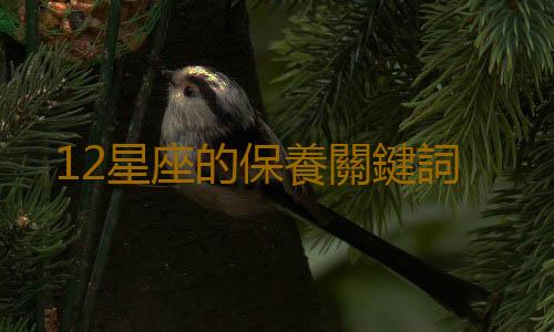 12星座的保養關鍵詞